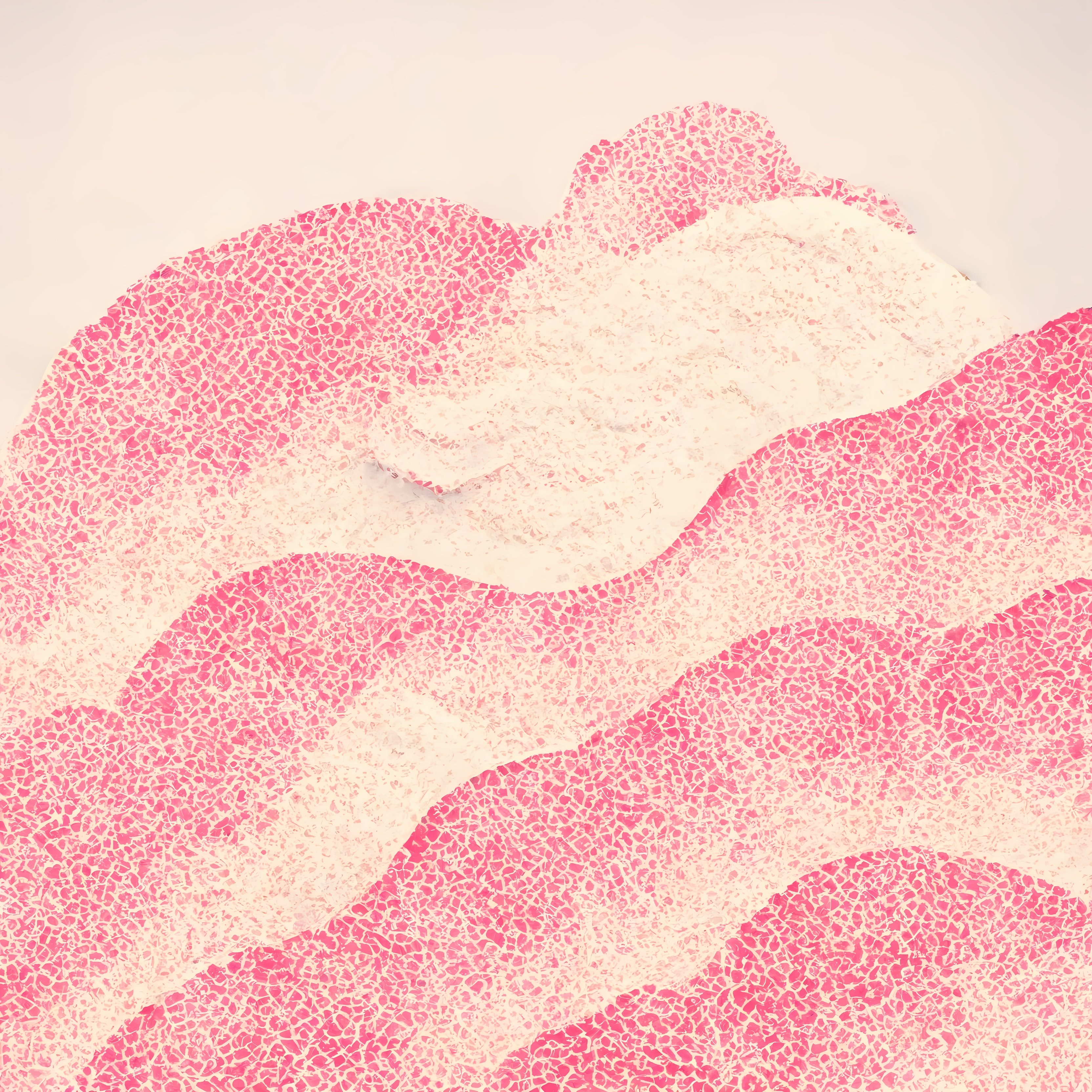 Profile banner